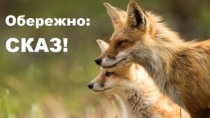 В Україні щорічно реєструються поодинокі випадки сказу серед людей