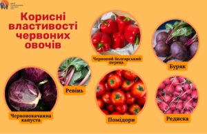 Корисні властивості червоних овочів для нашого здоров'я Корисні властивості червоних овочів для нашого здоров'я