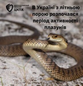 В Україні з літньою порою розпочався період активності плазунів В Україні з літньою порою розпочався період активності плазунів