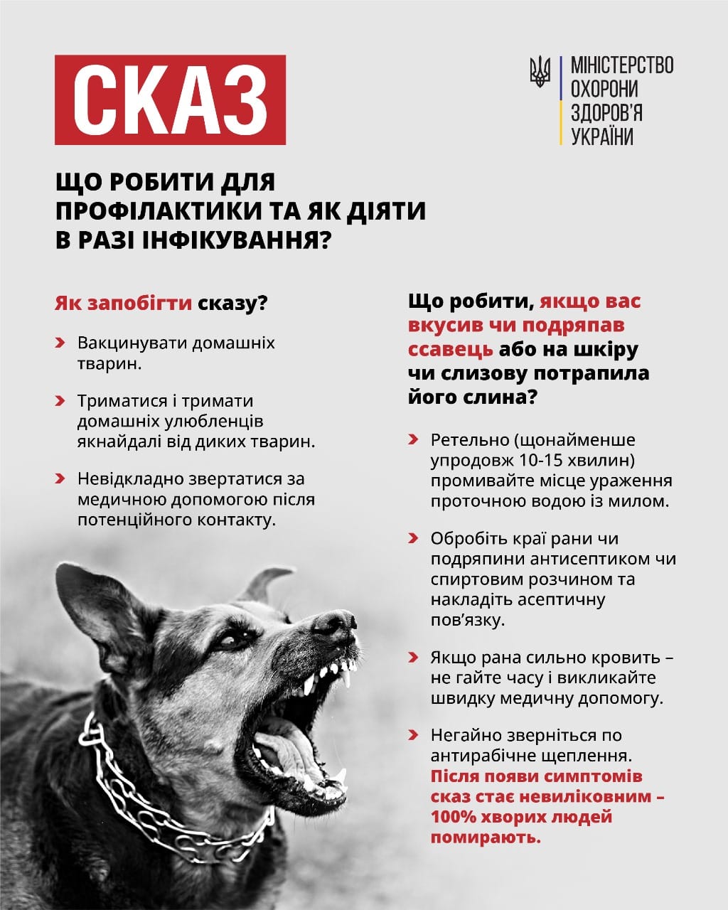 Сказ