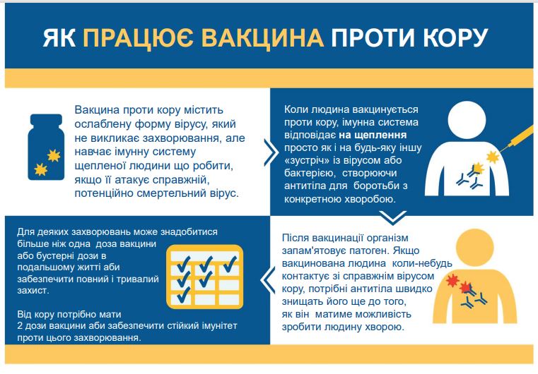 Як працює вакцина проти кору?